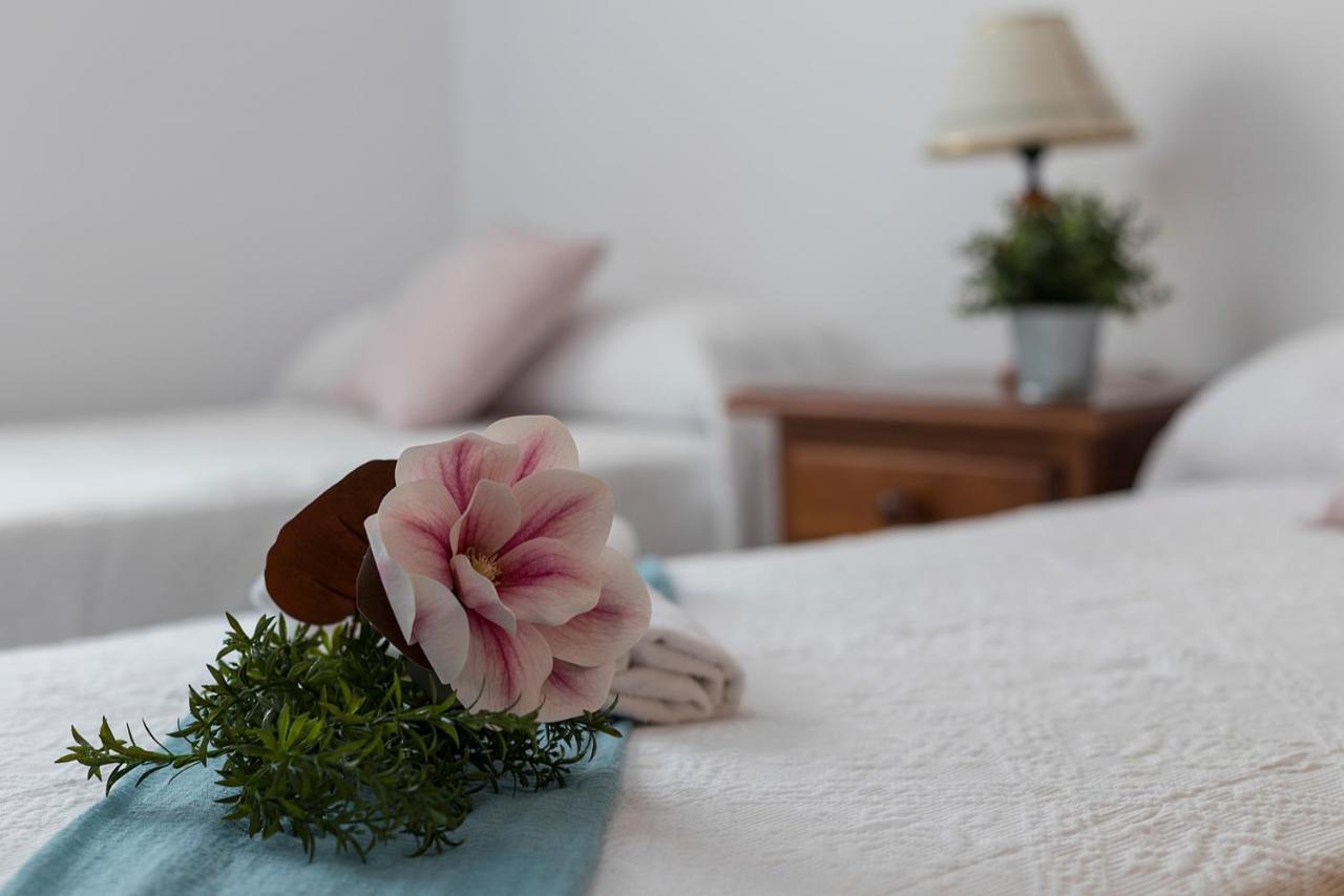 Avenida Playa 3 Rooms 2 baños Cadiz Dış mekan fotoğraf